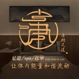 丽府唐朝SPA（南京路店）的logo