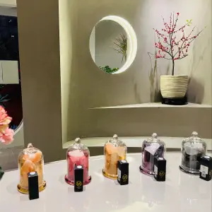 诗雅康头疗采耳芳香SPA的logo