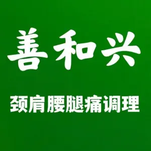 善和兴专业推拿理疗（泰华店）的logo