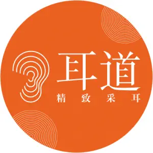 耳道精致采耳（壹城中心店）的logo