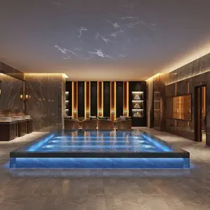 天池一号会所的logo