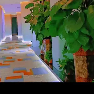 金禾盛海影院式足道