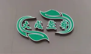 大成整脊的logo