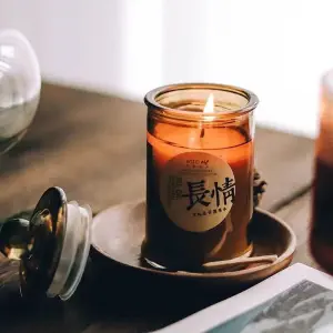 青蔓·香薰spa养生公馆的logo