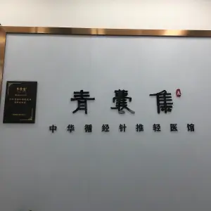 青囊集的logo