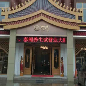 泰阁养生的logo