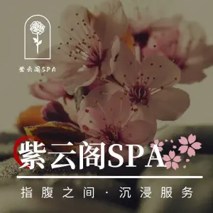 紫云阁高端SPA会所