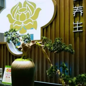 储美·美容养生馆（新凯广场店）的logo