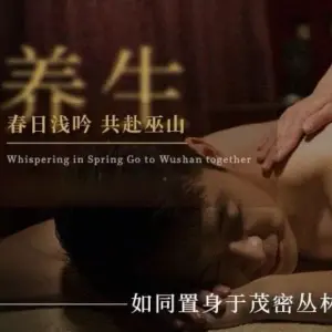 月亮湾SPA养生的logo