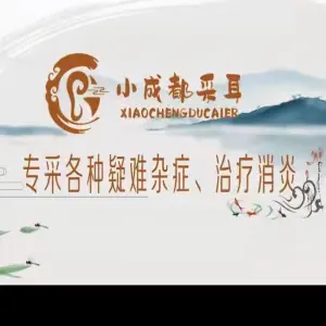 小成都专业采耳（缤润汇店）的logo