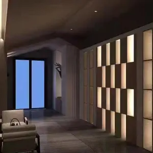 南派·星悦SPA会馆