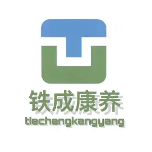 铁成康养（河西店）的logo