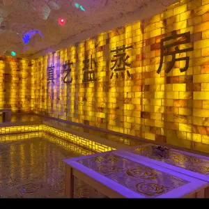 真艺专业健康养生养发美容连锁店的logo