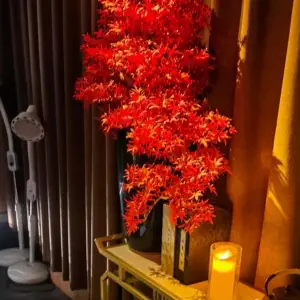 沐·心语养生SPA