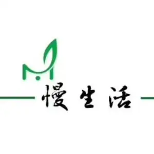慢生活养生（锦绣城店）的logo
