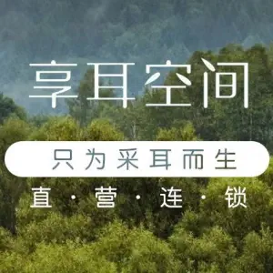 享耳空间·京派专业采耳（三元桥店）的logo