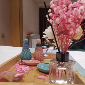 夜泊康桥主题养生SPA的logo