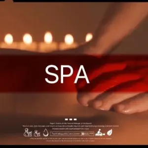 泰美妙休闲养生按摩spa的logo