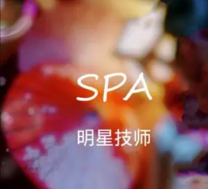 美人世家养生SPA的logo