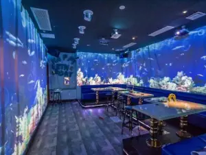 华畅靓K氧吧量贩KTV（黄岛店）