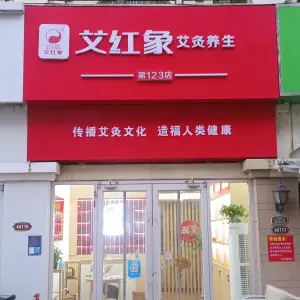 艾红象艾灸养生专家的logo