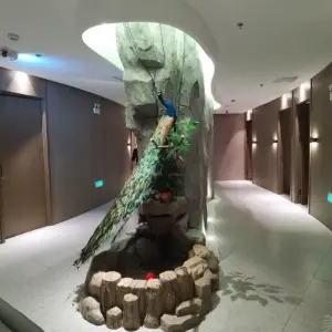 言尚足浴（百菊时代华庭店）