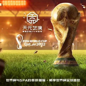 天元艺境·高端足道SPA体验馆的logo