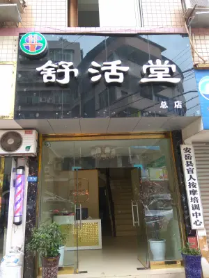 舒活堂盲人专业按摩的logo