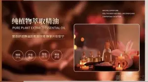 椿·居养生的logo