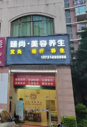 臻尚健康管理（河源雅居乐花园店）的logo