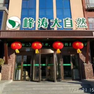 峰涛大自然养生足道（渤海十一路店）的logo