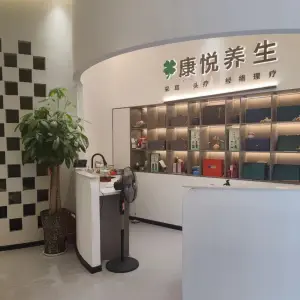 康悦养生·采耳·SPA的logo