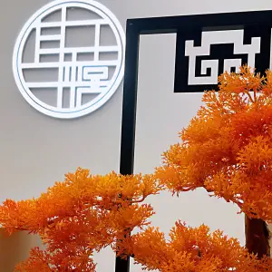 耳禧采耳生活馆（金宇文苑店）