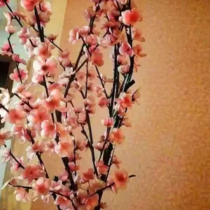 桃花池美丽庄园（宜都丽橙店）