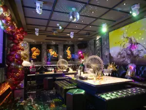 TOKU黑桃KKTV（南山店）