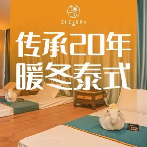 臻SPA泰式按摩（佳源银座店）的logo