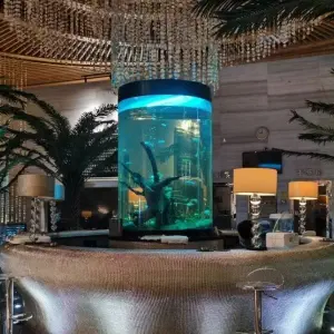 泰悦玺足道SPA（中骏尚城店）的logo