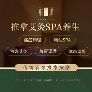 虚至阁推拿艾灸SPA养生馆（文二西路店）的logo