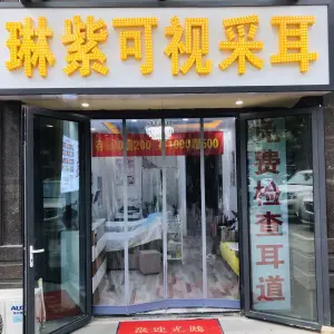 琳紫可视采耳（东贸店）的logo