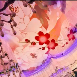 辰轩养生