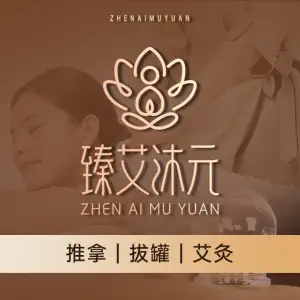 臻艾沐元·古法艾灸肩颈推拿（凤城二路店）的logo