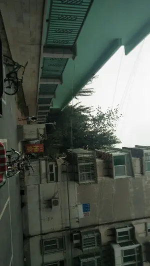 王喜龙推拿（舜玉店）的logo