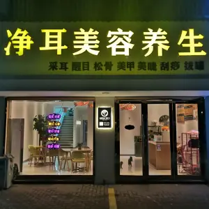 净耳美容养生（郑陆店）的logo
