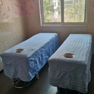 手艺盲人推拿（托乐嘉店）的logo