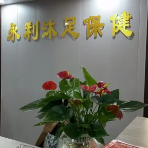 永利沐足保健的logo