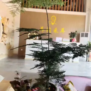 耳润采耳文化体验馆（海逸城邦总店）