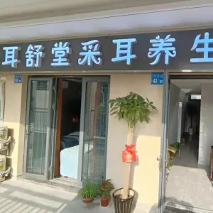 耳舒堂采耳养生馆的logo