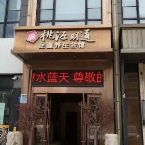 桃源足道养生会馆（凯悦店）的logo