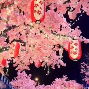 水润SPA养生店的logo