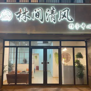 林间清风推拿中心的logo